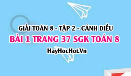 Bài 1 trang 37 Toán 8 Tập 2 Cánh Diều